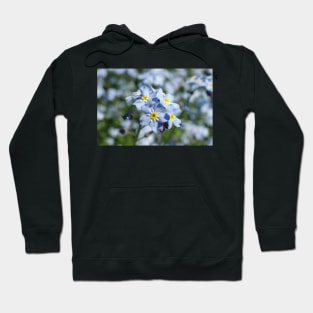 Memories are made of these Hoodie